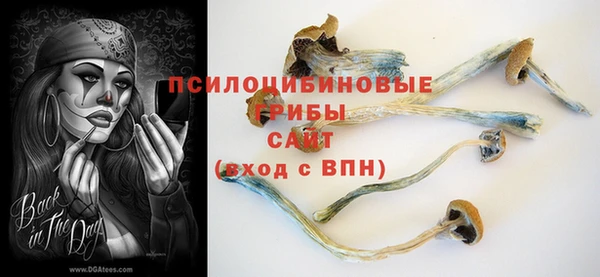 экстази Дмитровск