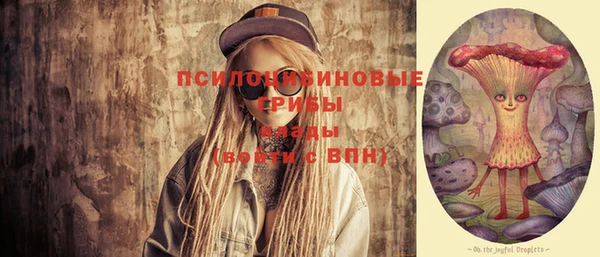 гидра Дмитров