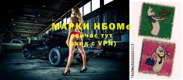 гидра Дмитров