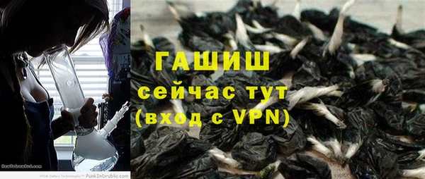 гидра Дмитров