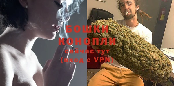 спайс Гусь-Хрустальный