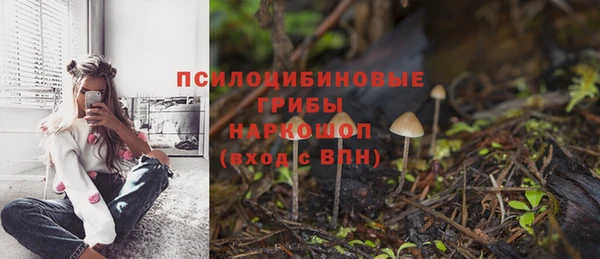 гидра Дмитров