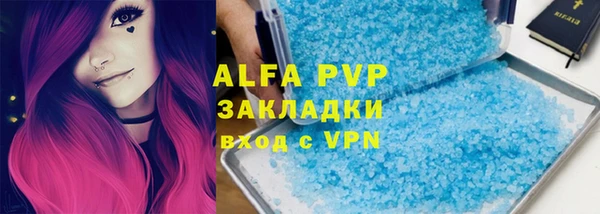 гидра Дмитров