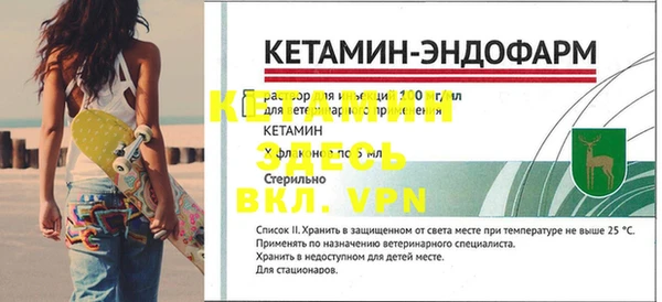 гидра Дмитров